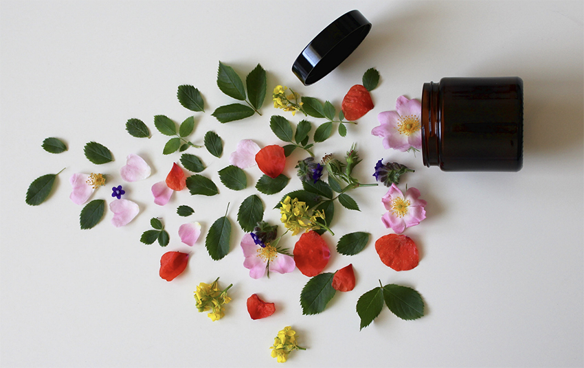 Abandonner les médicaments au profit des plantes ?
