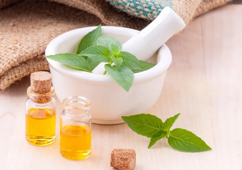 L’origine des médicaments